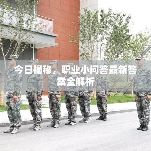 今日揭秘，职业小问答最新答案全解析