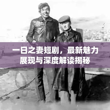 一日之妻短剧，最新魅力展现与深度解读揭秘