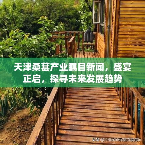天津桑葚产业瞩目新闻，盛宴正启，探寻未来发展趋势