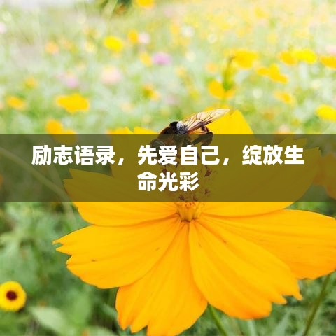 励志语录，先爱自己，绽放生命光彩
