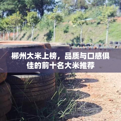 郴州大米上榜，品质与口感俱佳的前十名大米推荐