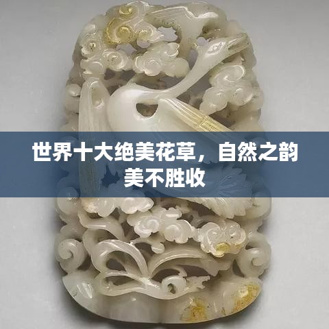 世界十大绝美花草，自然之韵美不胜收