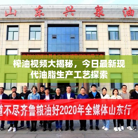 榨油视频大揭秘，今日最新现代油脂生产工艺探索