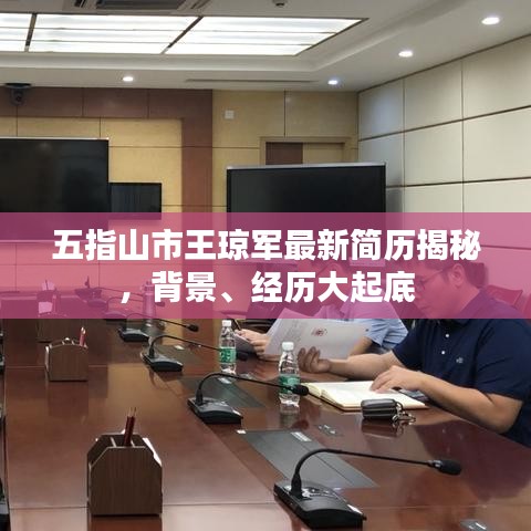五指山市王琼军最新简历揭秘，背景、经历大起底
