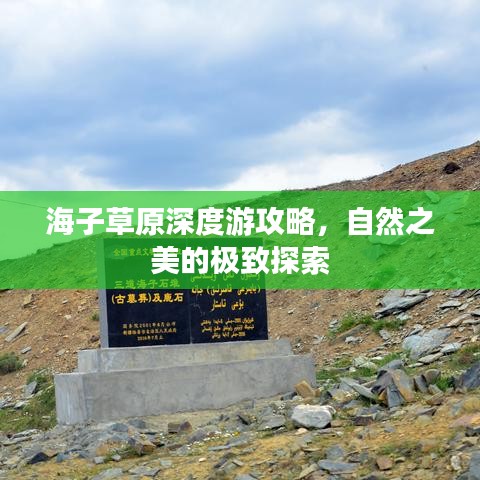 海子草原深度游攻略，自然之美的极致探索