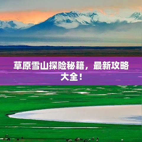 草原雪山探险秘籍，最新攻略大全！