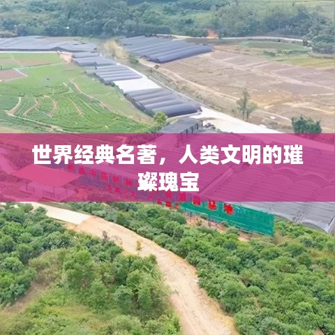 世界经典名著，人类文明的璀璨瑰宝