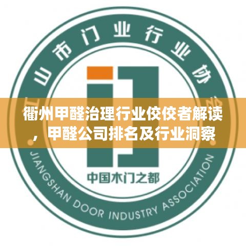 衢州甲醛治理行业佼佼者解读，甲醛公司排名及行业洞察