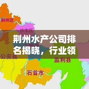 荆州水产公司排名揭晓，行业领军者一览无余