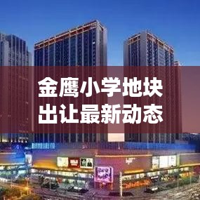 金鹰小学地块出让最新动态，全面解析最新消息