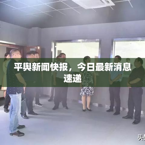 平舆新闻快报，今日最新消息速递