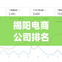 揭阳电商公司排名揭秘，探索电商行业的蓬勃发展之路