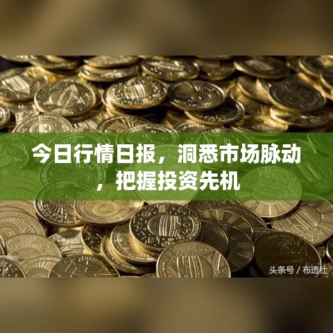 今日行情日报，洞悉市场脉动，把握投资先机
