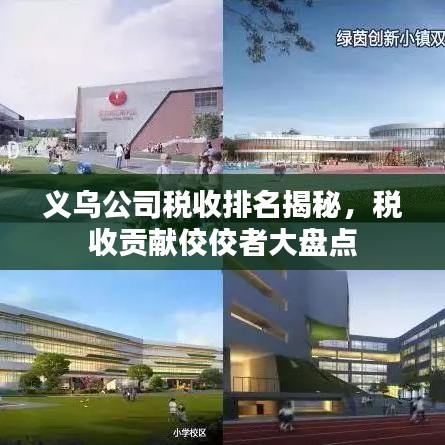 义乌公司税收排名揭秘，税收贡献佼佼者大盘点