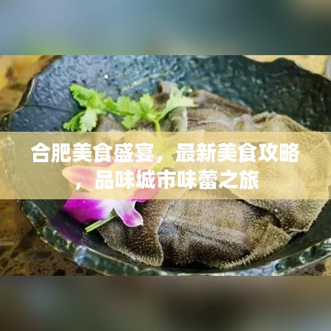 合肥美食盛宴，最新美食攻略，品味城市味蕾之旅