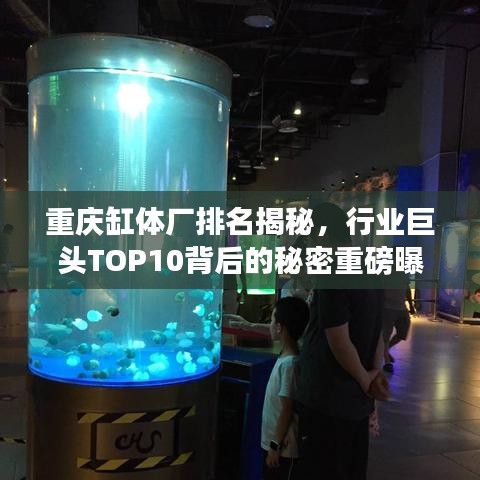 重庆缸体厂排名揭秘，行业巨头TOP10背后的秘密重磅曝光！