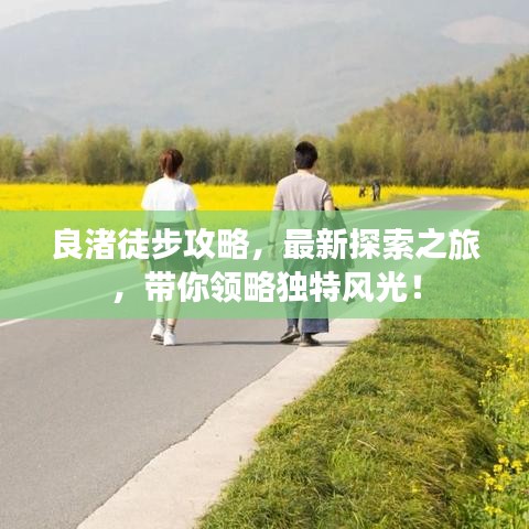 良渚徒步攻略，最新探索之旅，带你领略独特风光！
