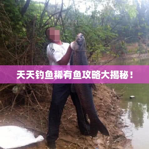 天天钓鱼稀有鱼攻略大揭秘！