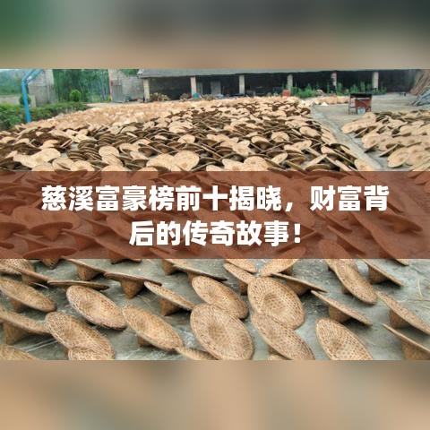 慈溪富豪榜前十揭晓，财富背后的传奇故事！