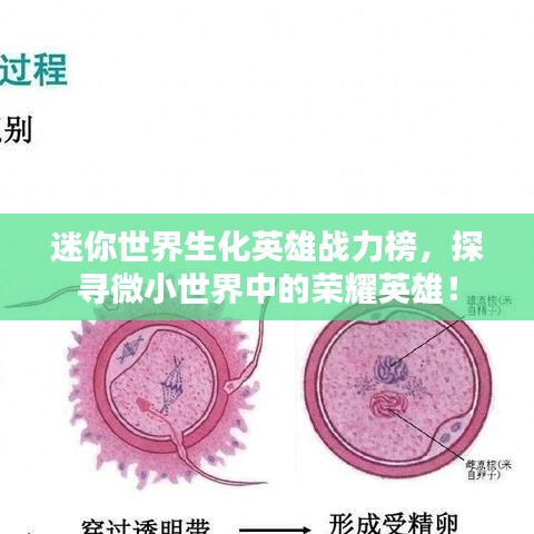 专心致志
