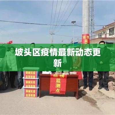 坡头区疫情最新动态更新