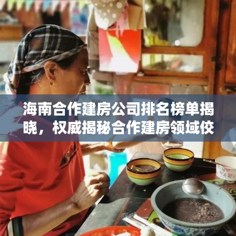 海南合作建房公司排名榜单揭晓，权威揭秘合作建房领域佼佼者