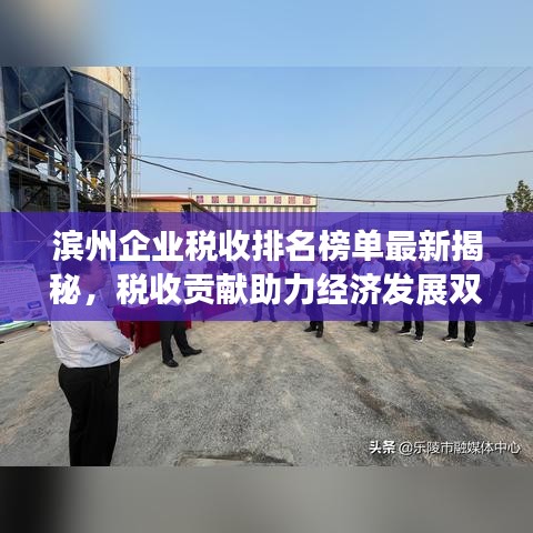滨州企业税收排名榜单最新揭秘，税收贡献助力经济发展双轮驱动！