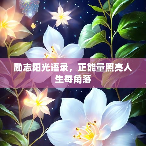 励志阳光语录，正能量照亮人生每角落