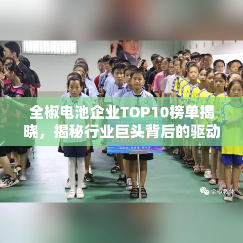 全椒电池企业TOP10榜单揭晓，揭秘行业巨头背后的驱动力