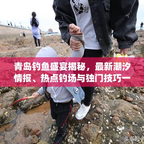 青岛钓鱼盛宴揭秘，最新潮汐情报、热点钓场与独门技巧一网打尽！