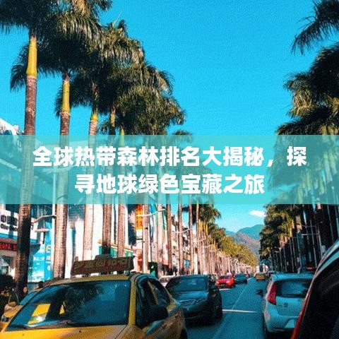 全球热带森林排名大揭秘，探寻地球绿色宝藏之旅
