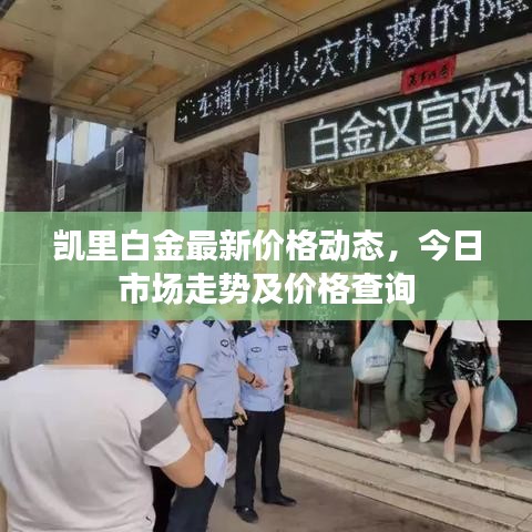 凯里白金最新价格动态，今日市场走势及价格查询