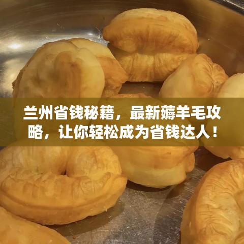 兰州省钱秘籍，最新薅羊毛攻略，让你轻松成为省钱达人！