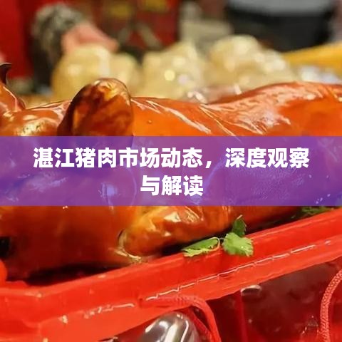 湛江猪肉市场动态，深度观察与解读