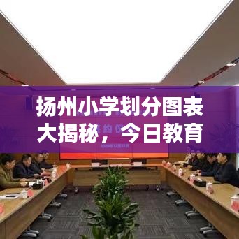 扬州小学划分图表大揭秘，今日教育布局全景呈现