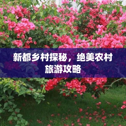 新都乡村探秘，绝美农村旅游攻略