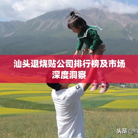 汕头退烧贴公司排行榜及市场深度洞察