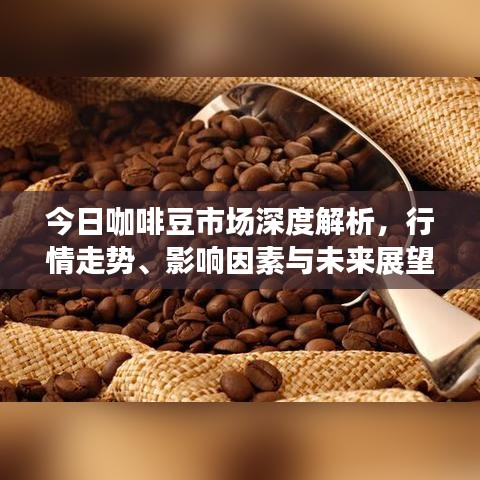 今日咖啡豆市场深度解析，行情走势、影响因素与未来展望