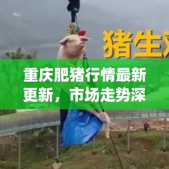 重庆肥猪行情最新更新，市场走势深度分析与预测