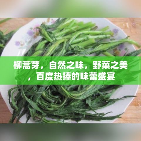 柳蒿芽，自然之味，野菜之美，百度热捧的味蕾盛宴