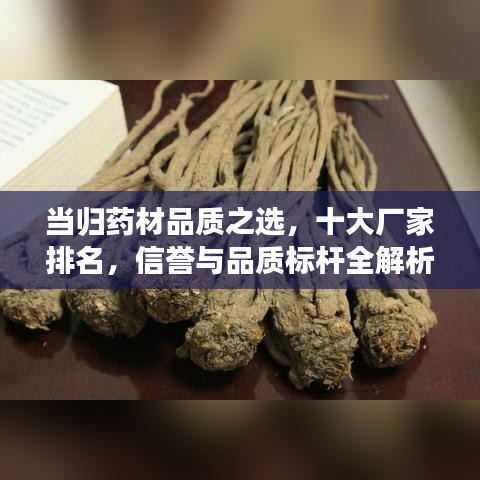 当归药材品质之选，十大厂家排名，信誉与品质标杆全解析