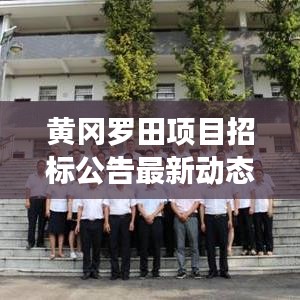 黄冈罗田项目招标公告最新动态深度解读