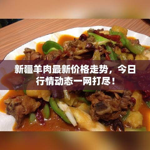 新疆羊肉最新价格走势，今日行情动态一网打尽！