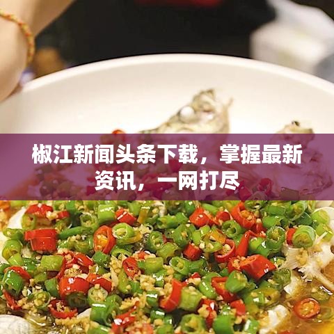 椒江新闻头条下载，掌握最新资讯，一网打尽