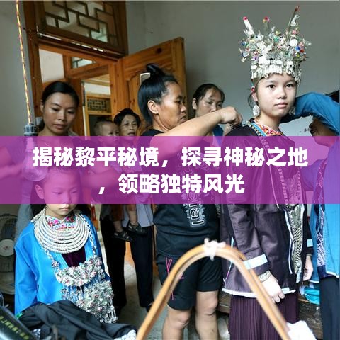 资讯公告