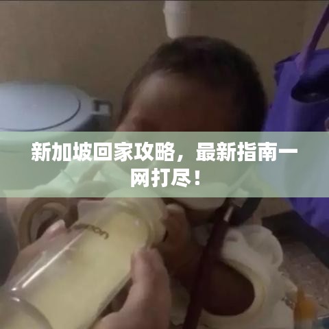 新加坡回家攻略，最新指南一网打尽！