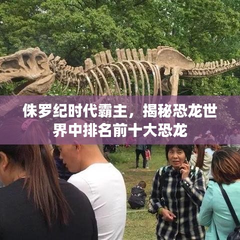 侏罗纪时代霸主，揭秘恐龙世界中排名前十大恐龙