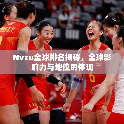 Nvzu全球排名揭秘，全球影响力与地位的体现