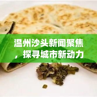 温州沙头新闻聚焦，探寻城市新动力，了解发展前沿动态