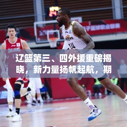 辽篮第三、四外援重磅揭晓，新力量扬帆起航，期待无限！